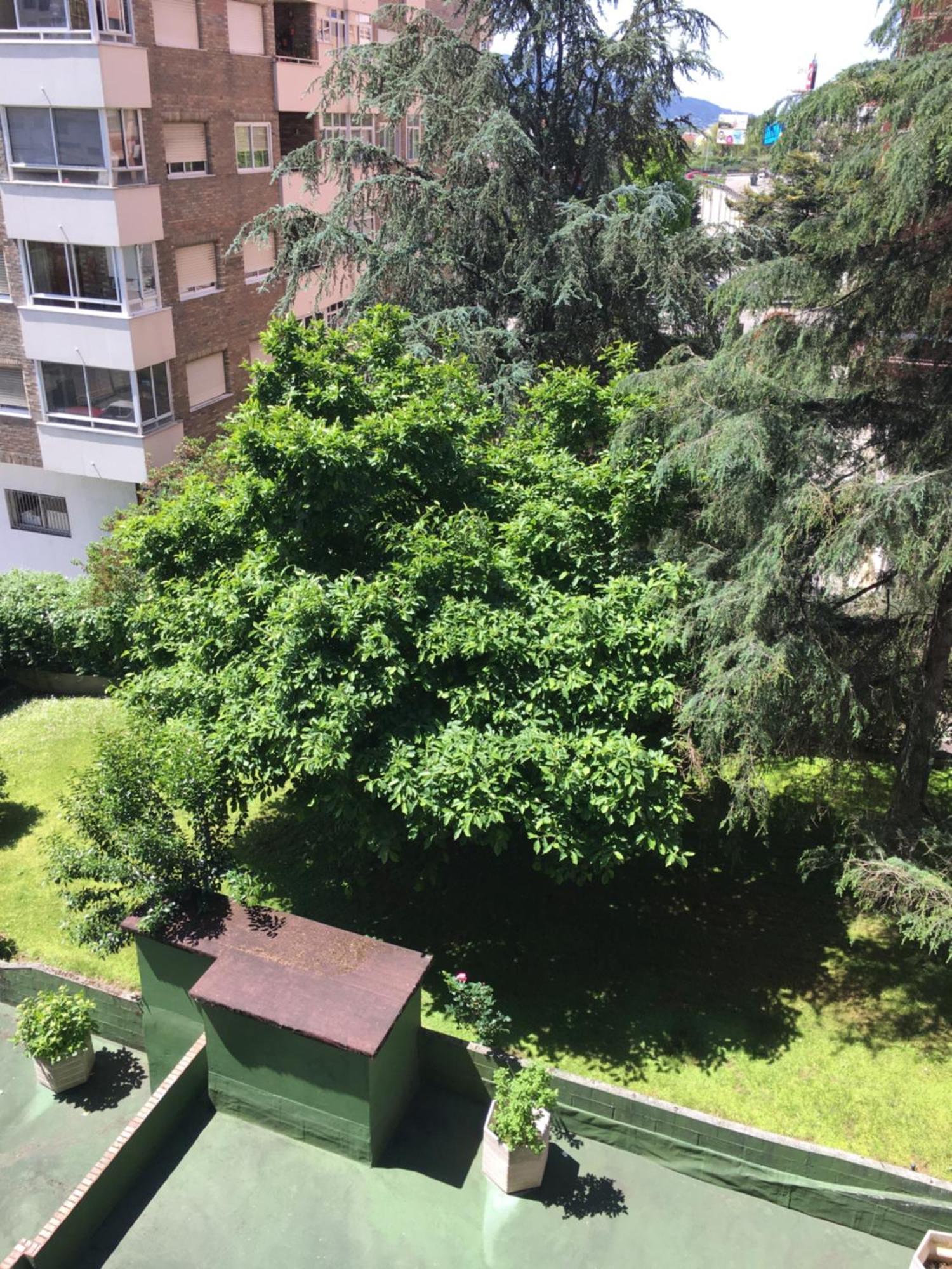 Apartamento Gaivota Amplio Y Luminoso Con Plaza De Garaje Vigo Exterior foto